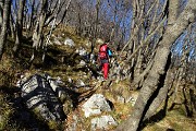 16 Saliamo nel bosco di carpini neri